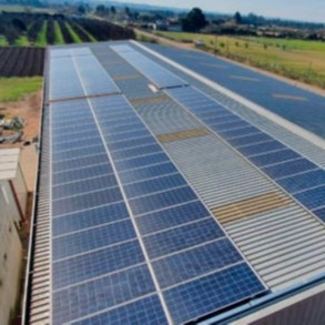 paneles fotovoltaicas